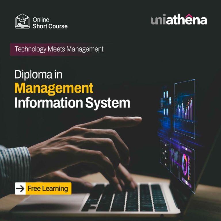 diploma-in-management-information-systems-uniathena-big-0