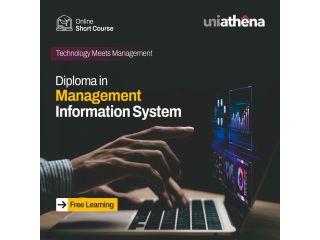 diploma-in-management-information-systems-uniathena-small-0