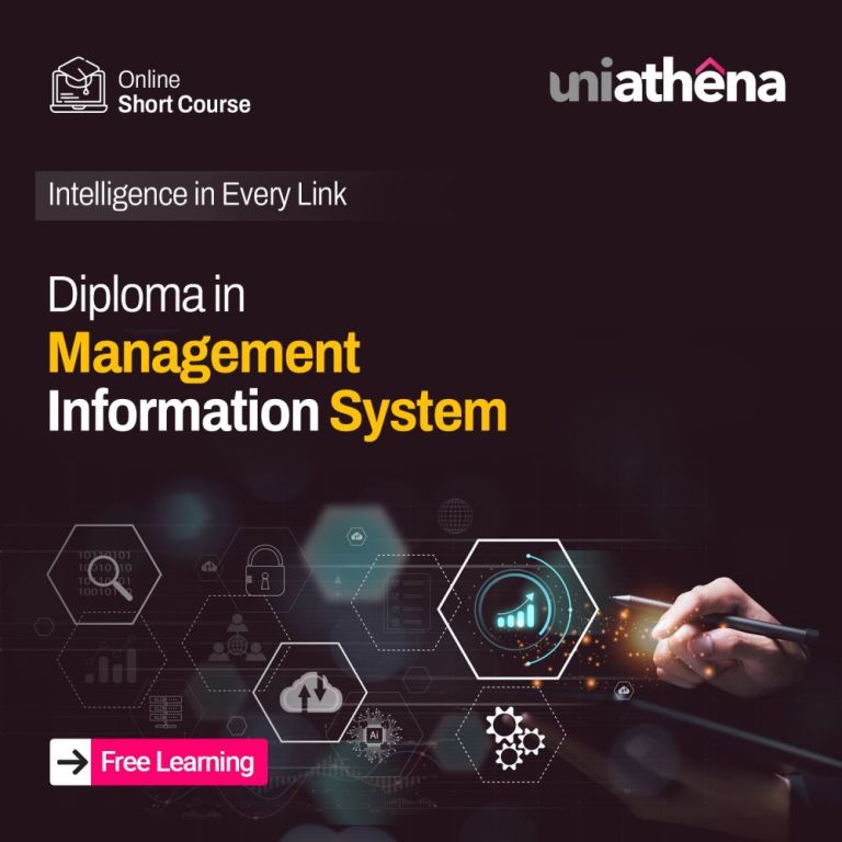 certified-management-information-system-course-free-big-0