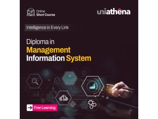 certified-management-information-system-course-free-small-0