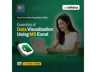 freecourse-in-data-visualization-with-excel-uniathena-small-0