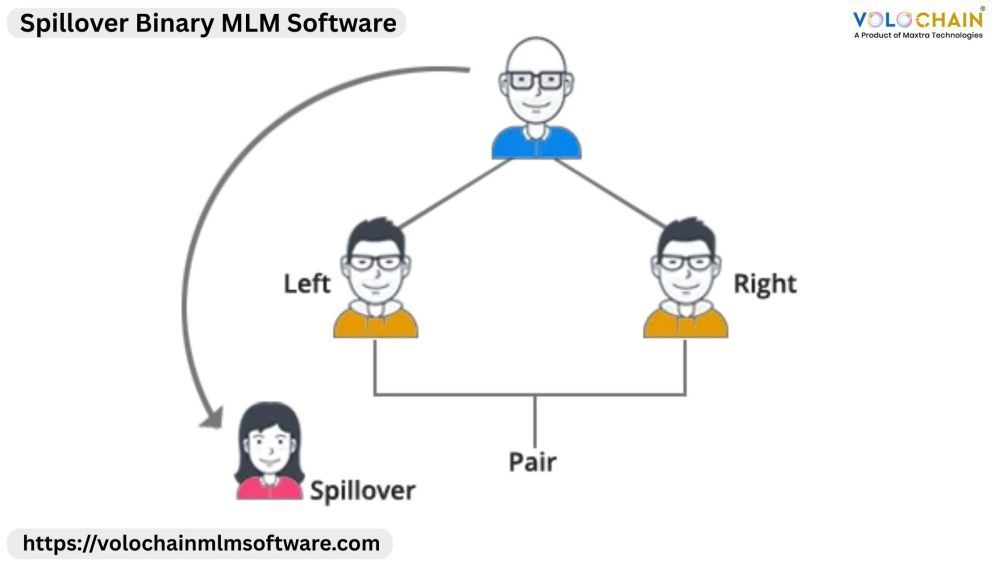increase-network-success-with-spillover-binary-mlm-software-big-0
