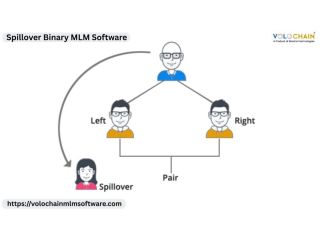 increase-network-success-with-spillover-binary-mlm-software-small-0