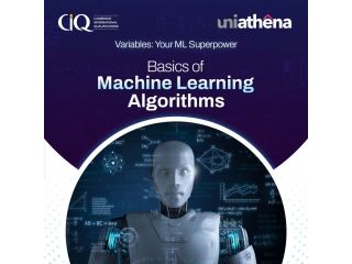 uniathena-ml-algorithms-online-course-with-certificate-small-0