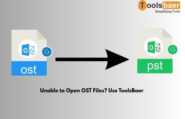 unable-to-open-ost-files-use-toolsbaer-big-0