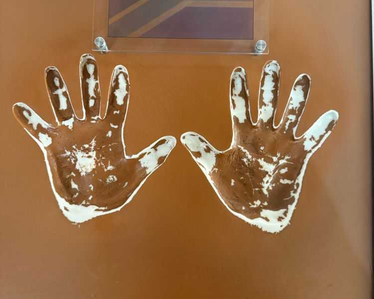 cradle-of-humankind-half-day-tour-in-johannesburg