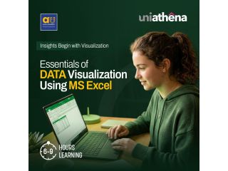 data-visualization-online-short-course-uniathena-small-0