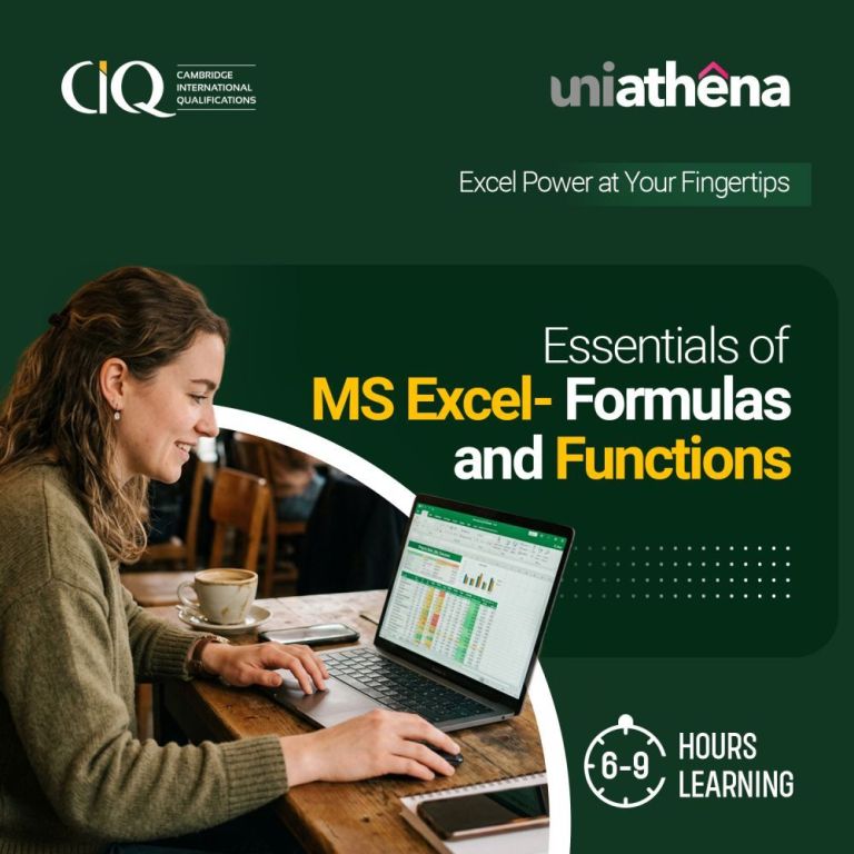 master-excel-formulas-and-functions-uniathena-big-0