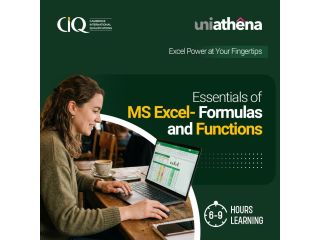 master-excel-formulas-and-functions-uniathena-small-0