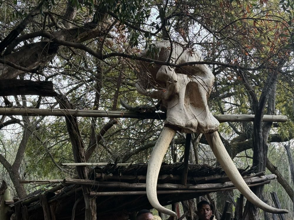 johannesburg-cultural-tours-to-discover-local-heritage-big-0