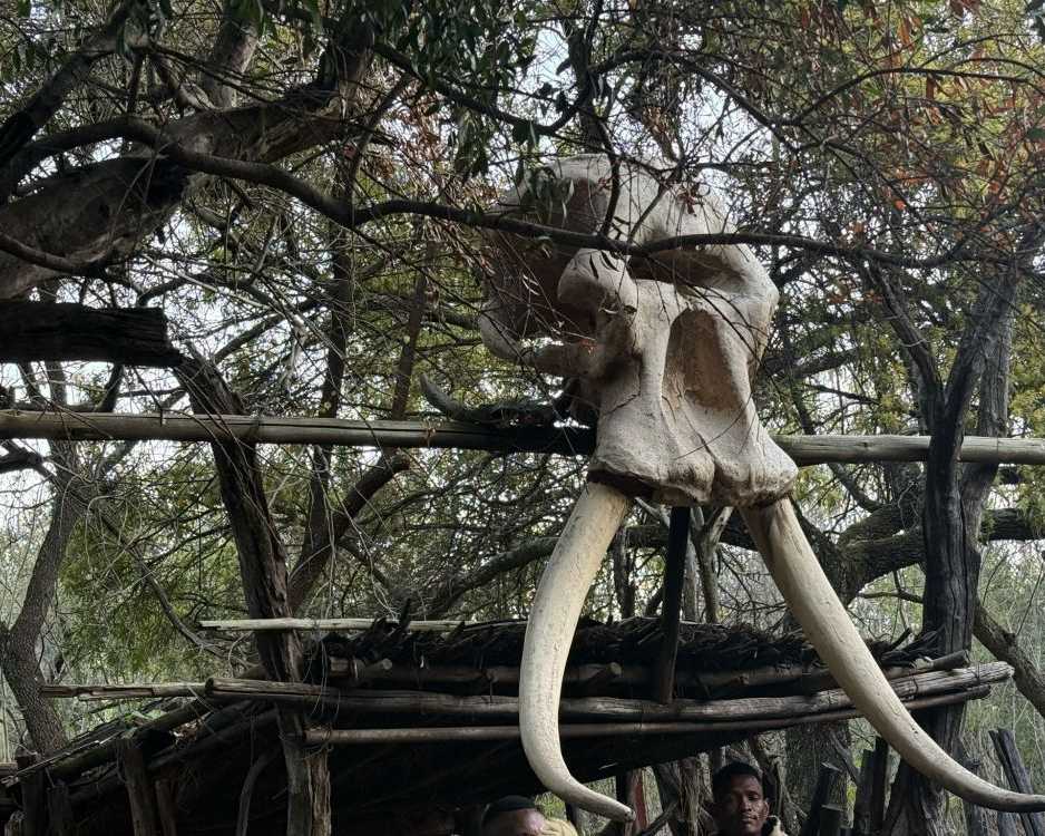 johannesburg-cultural-tours-to-discover-local-heritage