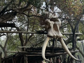 johannesburg-cultural-tours-to-discover-local-heritage-small-0