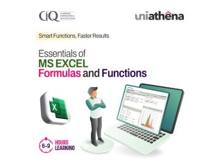master-excel-skills-from-beginner-to-advanced-uniathena-small-0