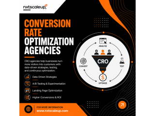 conversion-rate-optimization-agencies-are-essential-for-business-small-0