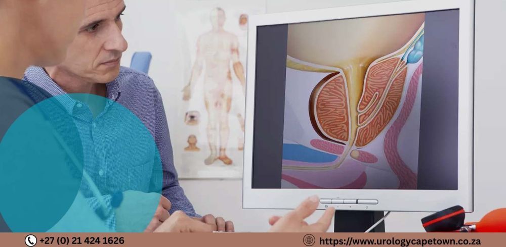 top-urologist-cape-town-for-mens-health-care-big-0