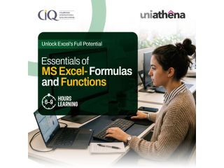 master-excel-formulas-and-functions-online-uniathena-small-0