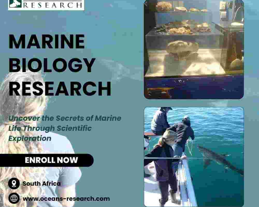 marine-biology-research-south-africa