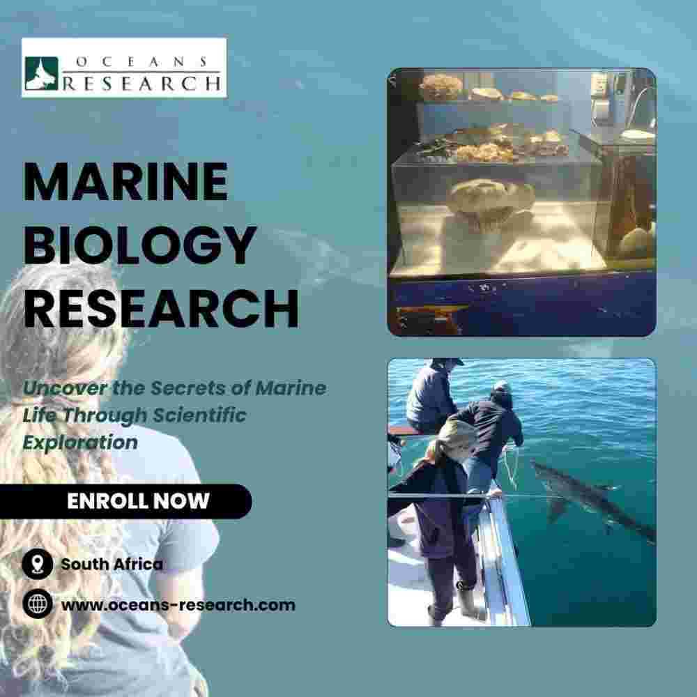 marine-biology-research-south-africa-big-0