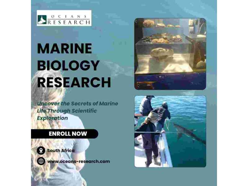marine-biology-research-south-africa-small-0