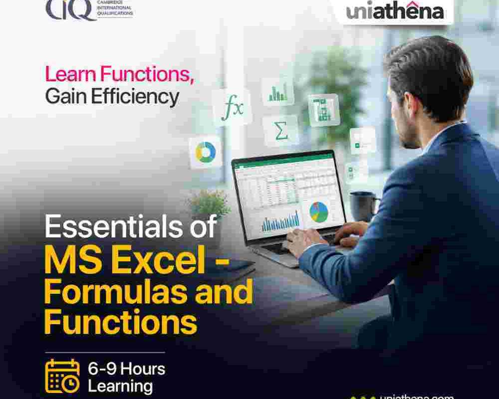 practical-excel-skills-for-workplace-success-uniathena