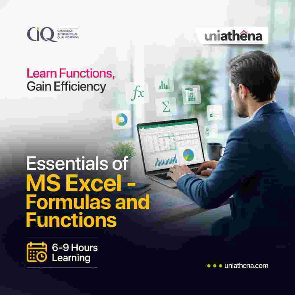 practical-excel-skills-for-workplace-success-uniathena-big-0