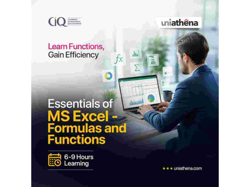 practical-excel-skills-for-workplace-success-uniathena-small-0