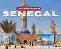 corporate-travel-solutions-for-businesses-in-senegal-tours