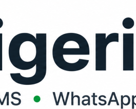 whatsapp-business-api-for-growing-businesses-in-nigeria