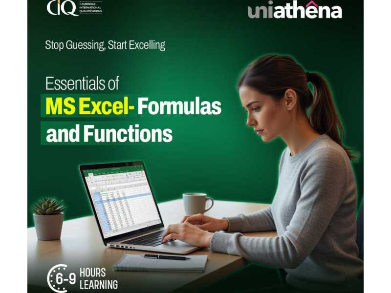 master-excel-from-basics-to-practical-application-uniathena-small-0