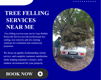 tree-felling-services-near-me-fast-reliable-solutions