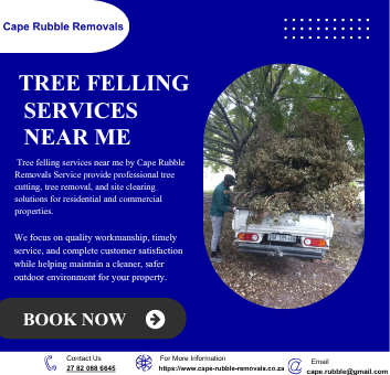 tree-felling-services-near-me-fast-reliable-solutions-big-0