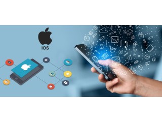 Outsource iPhone App Development - IT Outsourcing