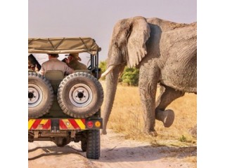 Private safari tours South Africa