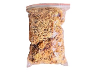 Sea Moss: Experience Unparalleled Benefits from MELO
