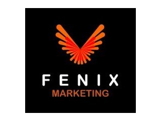 Digital Marketing Agency Johannesburg- Fenix Marketing