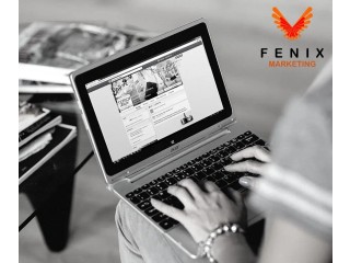 Google AdWords Agency Johannesburg | Fenix Marketing